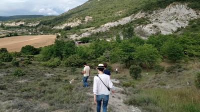 Guided walk in the truffle tree orchards